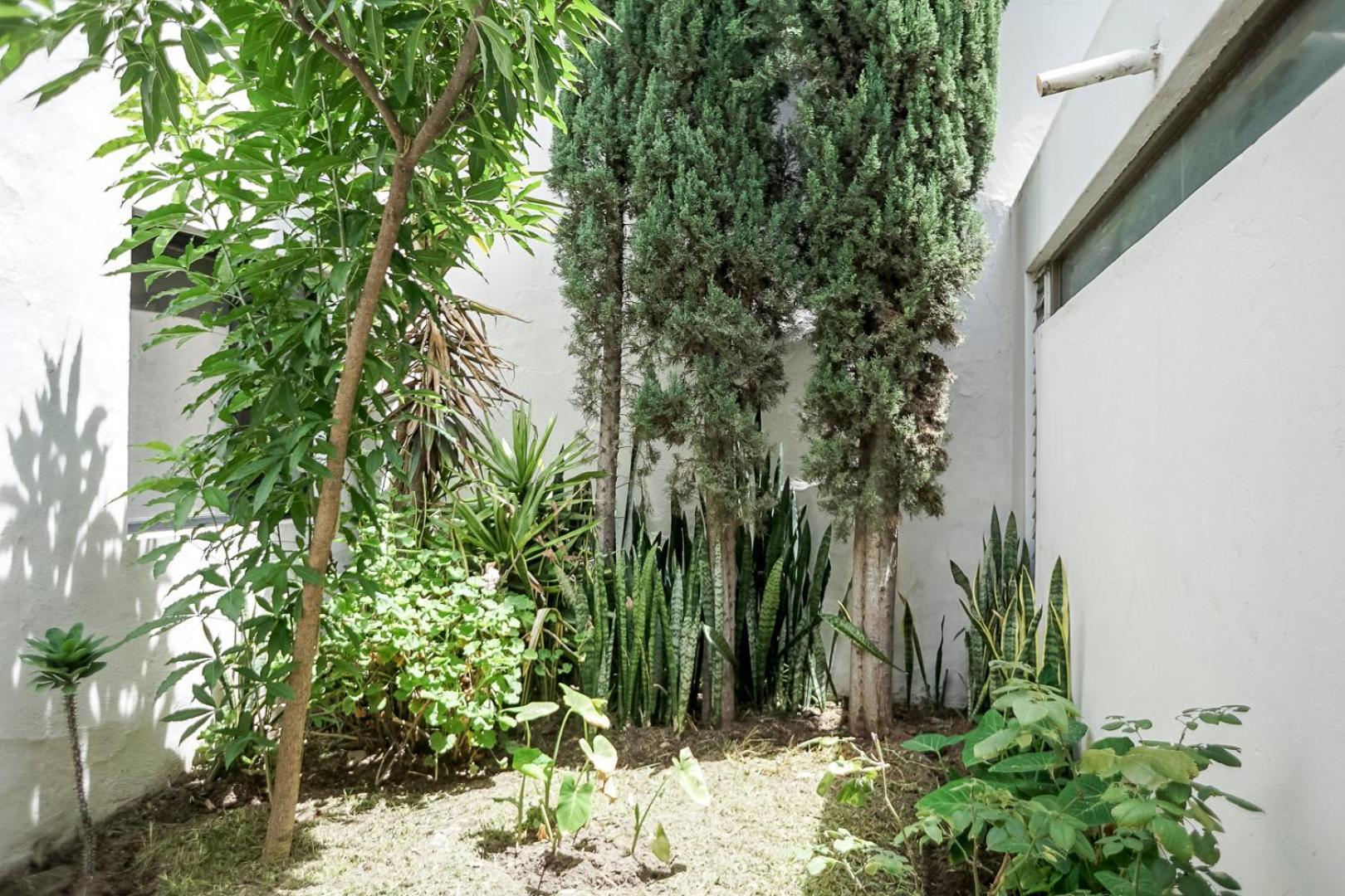 Casa Morelos Stayhouse San Luis Potosi Exterior photo
